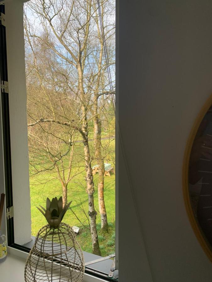 Treetops Coleraine Exterior photo